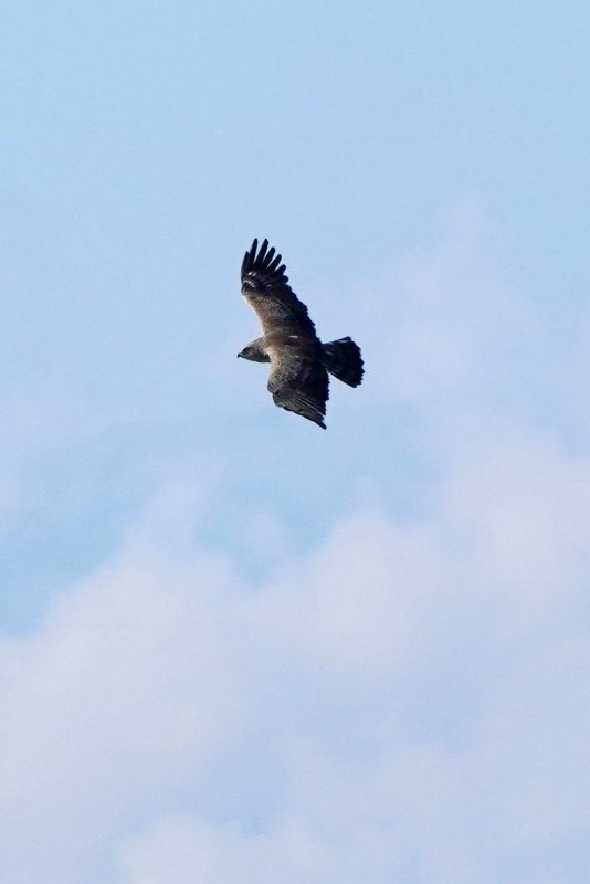 DSC0E0674.JPG