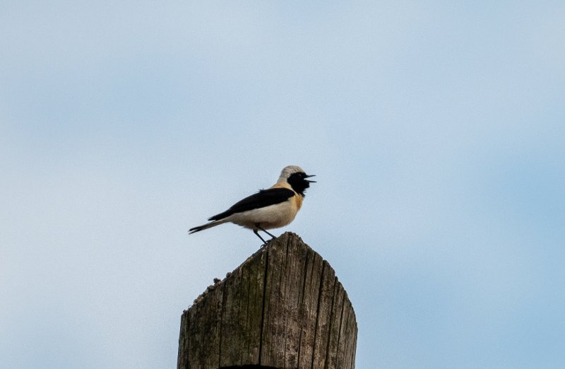DSC_6139.jpg