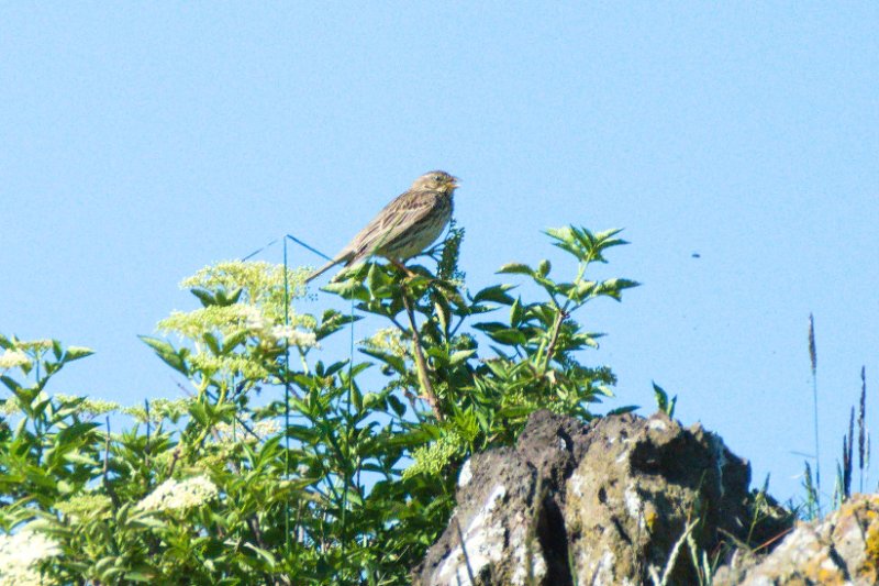 DSC_2641.jpg