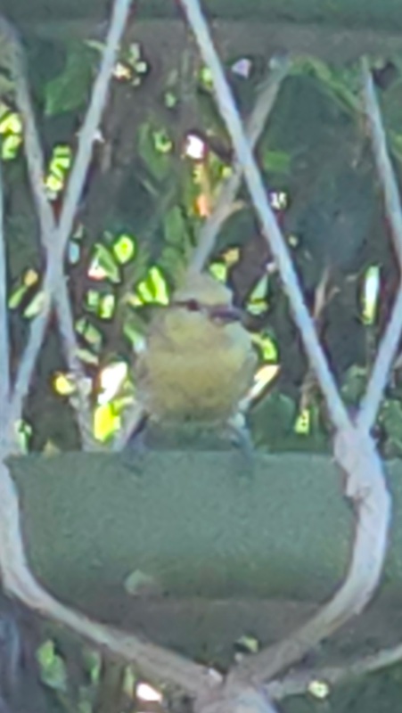 20260526_121838.jpeg