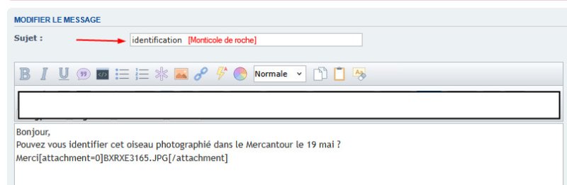 Capture2.jpg