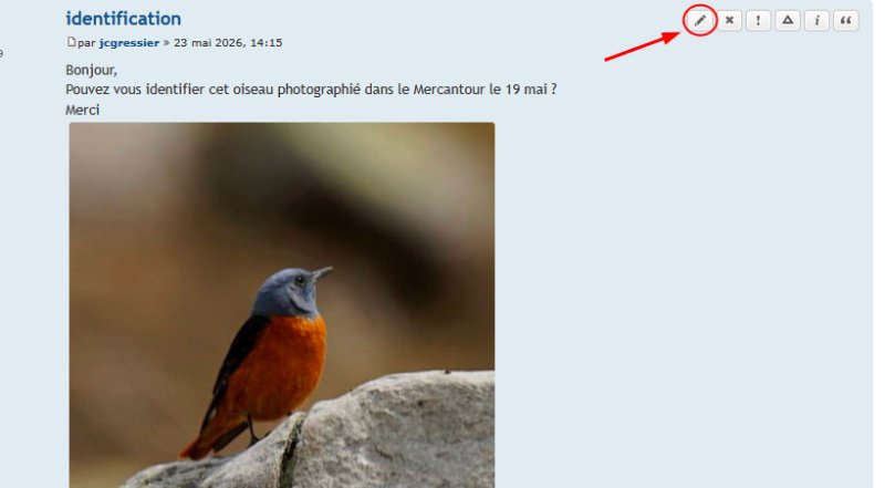 Capture1.jpg