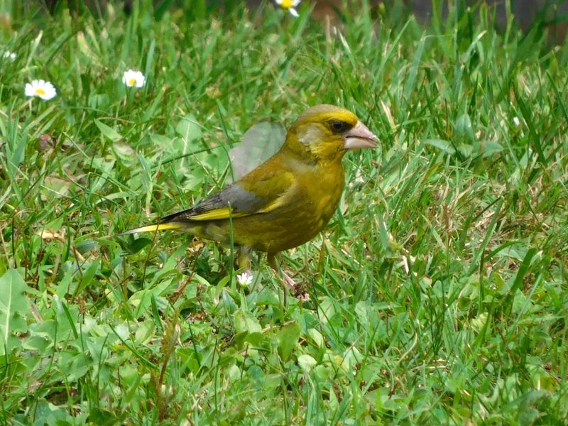 DSCN2926.JPG