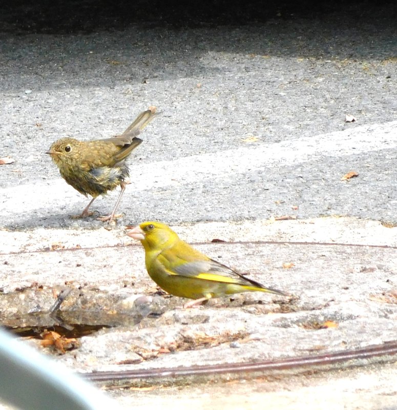 DSCN2947.JPG