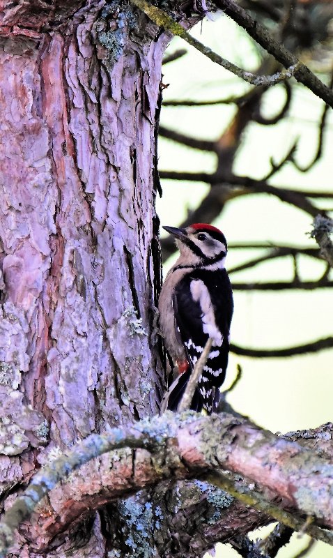 DSC_9717.JPG