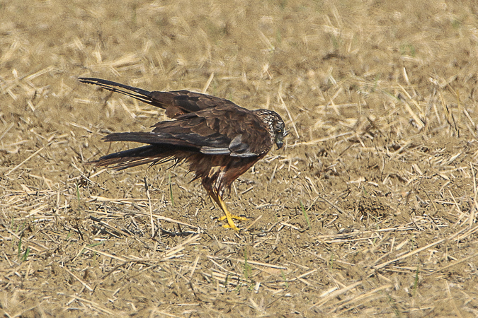 876A0159.JPG