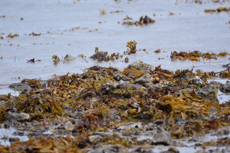 FJO_0050 (2) RESIZED.jpg