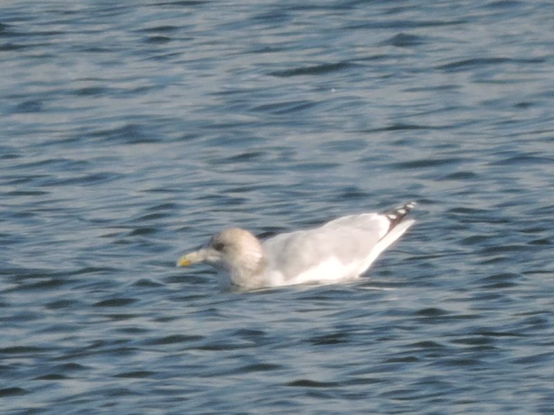 RSCN2128.JPG