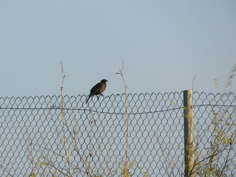 DSCN4350.JPG